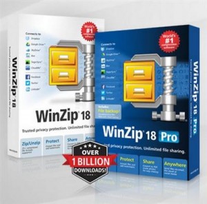 WinZip Pro Full
