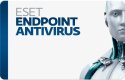 ESET Endpoint Antivirus Full
