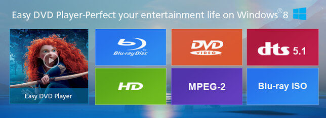 ZJMedia Easy DVD Player Full